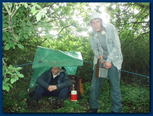 600x449 pixels (175K)